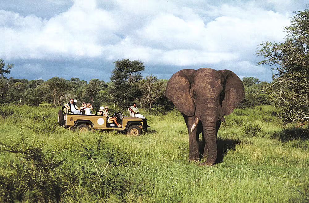 تور آفریقا سفرو ایرانیان 1 2#4734