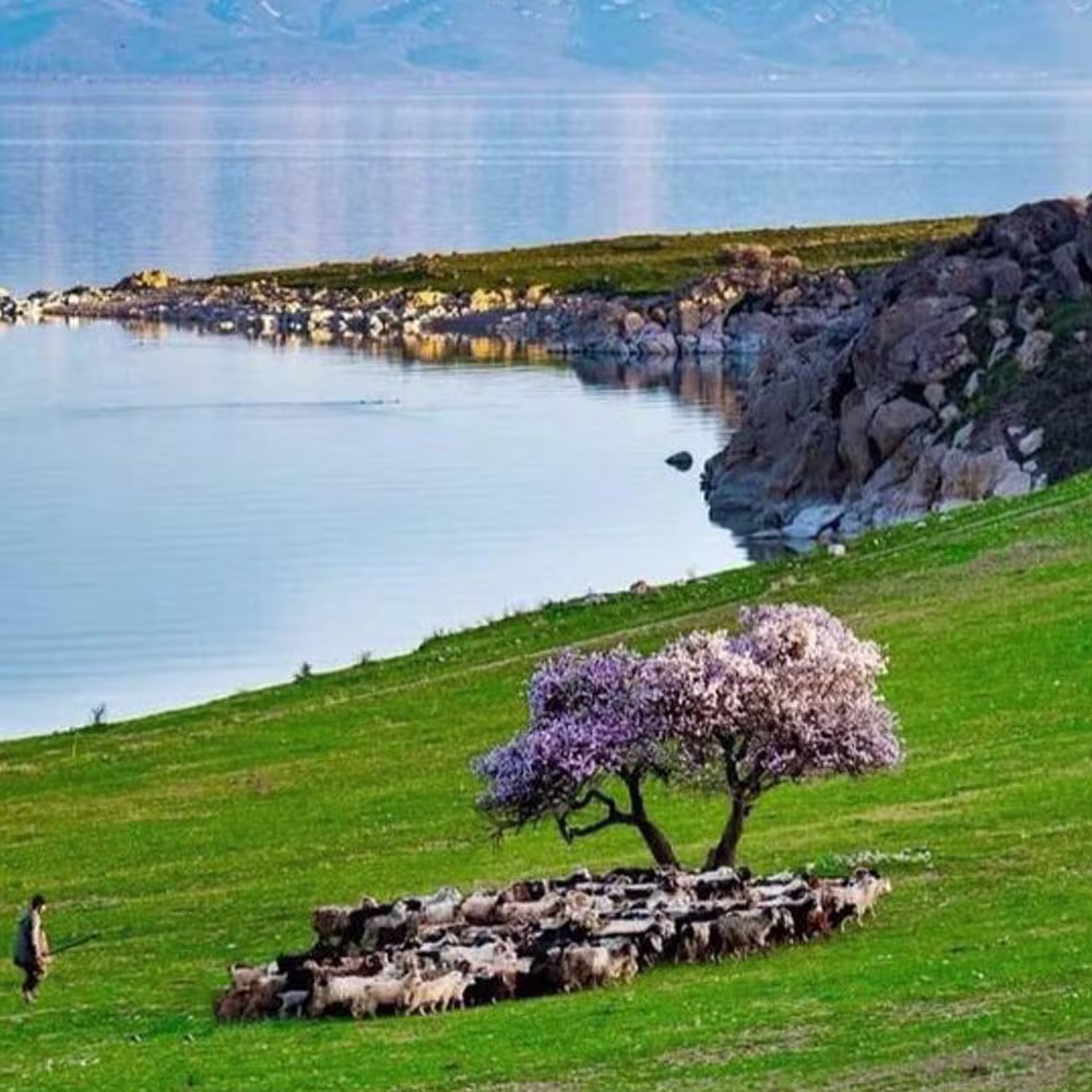 تور زمینی وان: از تبریز 2شب و 3روز🚍 هتل Toprak ⭐⭐⭐ (آبان)#1168