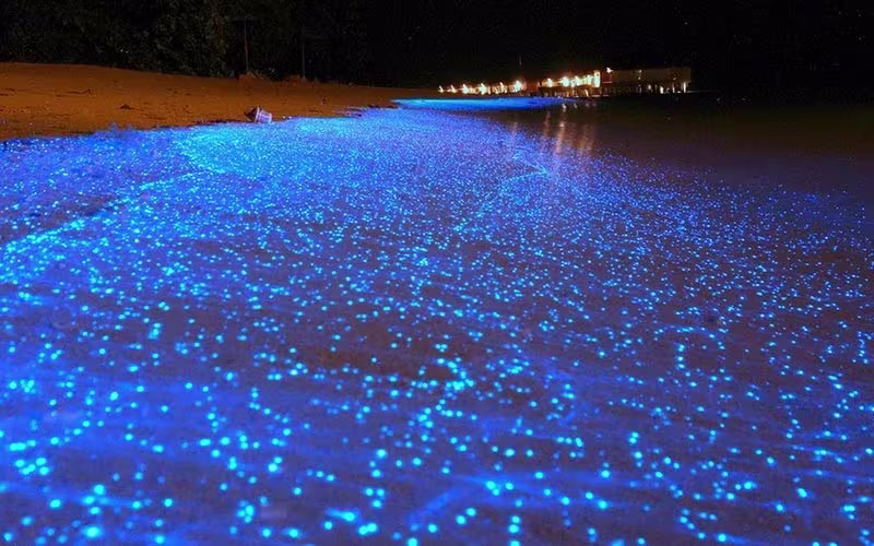 تور چابهار سفرو ایرانیان 1 1#9695