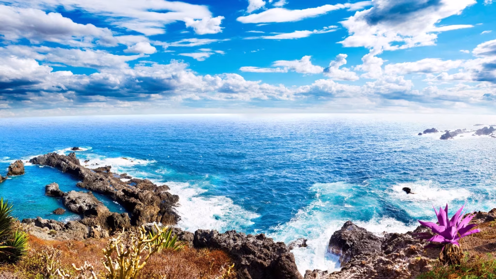 مقصد تنریف سفرو ایرانیان 3#6485