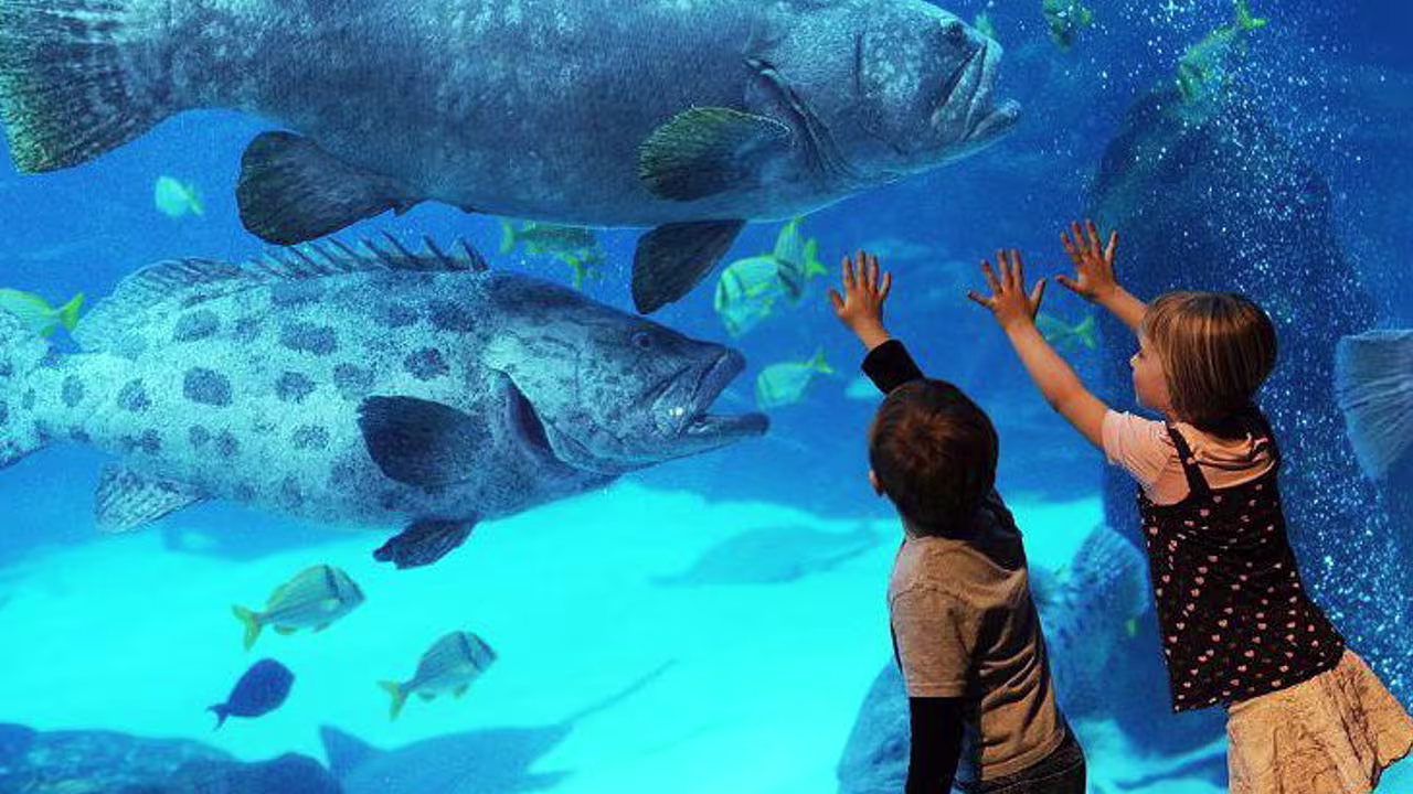 آکواریوم استانبول سفروایرانیان#1820