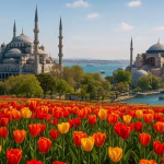 استانبول نوروز سفرو ایرانیان#9891