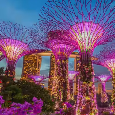 تور آسیا سفرو ایرانیان 8 (2) (2) (2) (2) (2) (2) (2) (2) (2) (2) (2) (2) (2) (2) (2) (2) (2) (2) (2) (2) (2) (2) (2)#1311