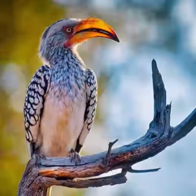 تور آفریقا سفرو ایرانیان 6 (2) (2) (2) (2) (2) (2) (2) (2) (2) (2) (2) (2) (2) (2) (2) (2) (2) (2) (2) (2) (2) (2) (2)#1848