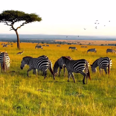 تور آفریقا کنیا سفرو ایزانیان (2) (2) (2) (2) (2) (2) (2) (2) (2) (2) (2) (2) (2) (2) (2) (2) (2) (2) (2) (2) (2) (2) (2)#5434