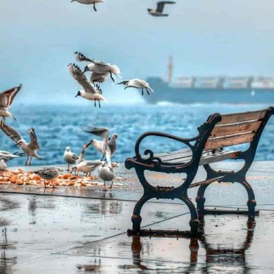 تور استانبول سفرو ایرانیان 3 (5) (2) (2) (2) (2) (2) (2) (2) (2) (2) (2) (2) (2) (2) (2) (2) (2) (2) (2) (2) (2) (2) (2)#2301