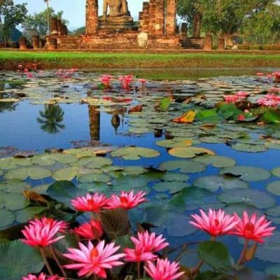 تور تایلند سفروایرانیان 5 1 Min (2) (2) (2) (2) (2) (2) (2) (2) (2) (2) (2) (2) (2) (2) (2) (2) (2) (2) (2) (2) (2) (2) (2)#6262