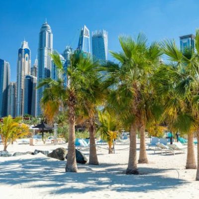 تور دبی سفروایرانیان 11 3 1 (2) (2) (2) (2) (2) (2) (2) (2) (2) (2) (2) (2) (2) (2) (2) (2) (2) (2) (2) (2) (2) (2) (2)#2041