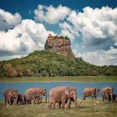 تور سریلانکا سفرو ایرانیان 1 1 (2) (2) (2) (2) (2) (2) (2) (2) (2) (2) (2) (2) (2) (2) (2) (2) (2) (2) (2) (2) (2) (2) (2)#2198