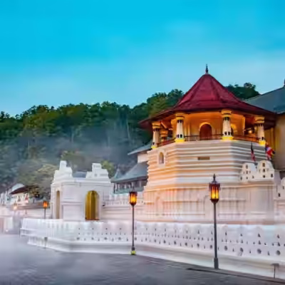 تور سریلانکا سفرو ایرانیان 2 (2) (2) (2) (2) (2) (2) (2) (2) (2) (2) (2) (2) (2) (2) (2) (2) (2) (2) (2) (2) (2) (2) (2)#3787