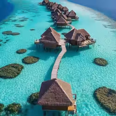 تور مالدیو سفرو ایرانیان 1 (2) (2) (2) (2) (2) (2) (2) (2) (2) (2) (2) (2) (2) (2) (2) (2) (2) (2) (2) (2) (2) (2) (2)#8438