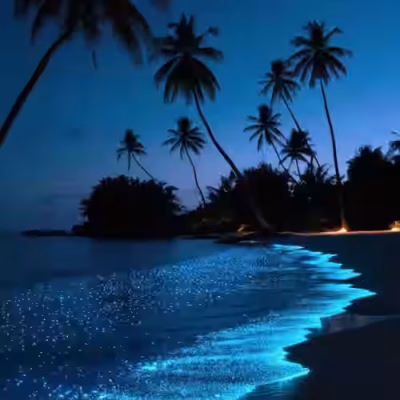 تور مالدیو سفرو ایرانیان 2 (2) (2) (2) (2) (2) (2) (2) (2) (2) (2) (2) (2) (2) (2) (2) (2) (2) (2) (2) (2) (2) (2) (2)#5661