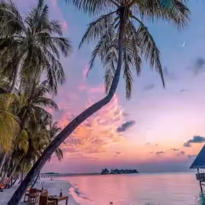 تور مالدیو سفرو ایرانیان 3 (2) (2) (2) (2) (2) (2) (2) (2) (2) (2) (2) (2) (2) (2) (2) (2) (2) (2) (2) (2) (2) (2) (2)#8955