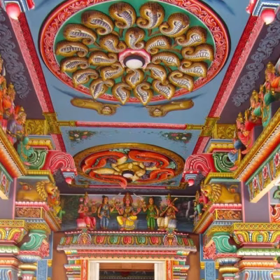 تور هند سفرو ایرانیان 1 (2) (2) (2) (2) (2) (2) (2)#1737