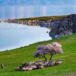 تور وان سفروایرانیان (2) (4) (2) (2) (2) (2) (2) (2) (2) (2) (2) (2) (2) (2) (2) (2) (2) (2) (2) (2) (2) (2) (2)#3614