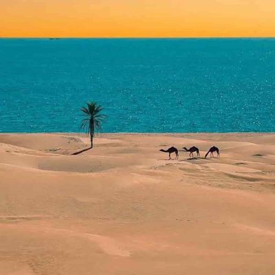 تور چابهار سفرو ایرانیان 2 (2) (2) (2) (2) (2) (2) (2) (2) (2) (2) (2) (2) (2) (2) (2) (2) (2) (2) (2) (2) (2) (2) (2)#1698